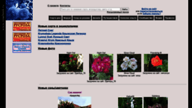 What Rosebook.ru website looked like in 2020 (5 years ago)