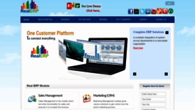 What Realerp.in website looked like in 2020 (3 years ago)