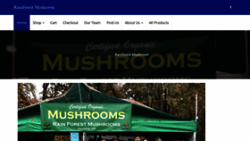What Rainforestmushrooms.com website looked like in 2020 (3 years ago)