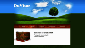 What Relvaduvitor.pt website looked like in 2020 (3 years ago)