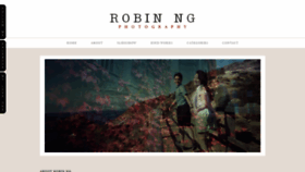 What Robinng.com website looked like in 2020 (3 years ago)