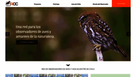 What Redobservadores.cl website looked like in 2020 (5 years ago)