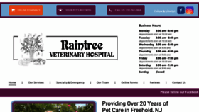 What Raintreevet.com website looked like in 2020 (3 years ago)