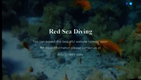 What Redseadiving.com website looked like in 2020 (3 years ago)