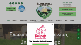 What Rooterville.org website looked like in 2020 (3 years ago)