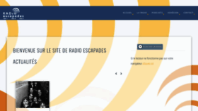 What Radioescapades.org website looked like in 2020 (3 years ago)