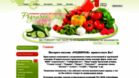 What Rodnechok.ru website looked like in 2020 (3 years ago)