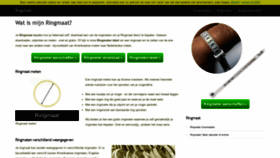 What Ringmaat.com website looked like in 2020 (3 years ago)