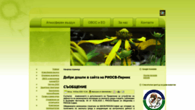 What Riosv-pernik.com website looked like in 2020 (3 years ago)