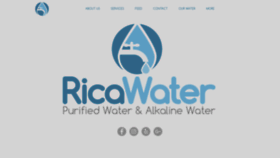 What Ricawaterstore.com website looked like in 2020 (3 years ago)