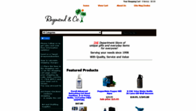 What Raymondandco.com website looked like in 2020 (3 years ago)