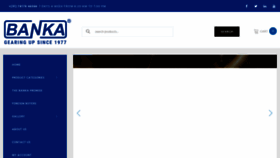 What Ravimachines.com website looked like in 2021 (4 years ago)