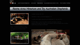 What Ravineacresminiaussies.com website looked like in 2021 (5 years ago)