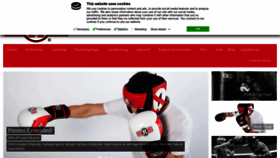 What Ringside.com website looked like in 2021 (3 years ago)