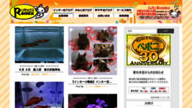 What Remix-net.co.jp website looked like in 2021 (2 years ago)