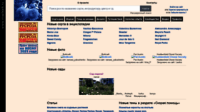 What Rosebook.ru website looked like in 2021 (4 years ago)
