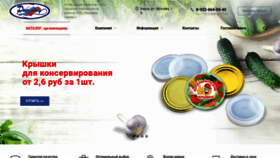 What Rossmed.ru website looked like in 2021 (2 years ago)