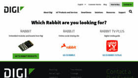 What Rabbit.com website looked like in 2021 (2 years ago)