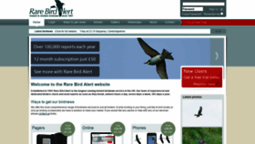 What Rarebirdalert.co.uk website looked like in 2021 (2 years ago)