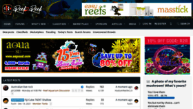 What Reef2reef.com website looked like in 2022 (2 years ago)