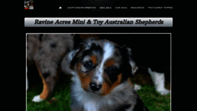 What Ravineacresminiaussies.com website looked like in 2022 (3 years ago)