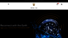What Rolexswatches.us website looked like in 2022 (1 year ago)