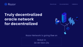What Razor.network website looked like in 2022 (1 year ago)