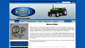 What Ribblex.co.in website looked like in 2022 (1 year ago)
