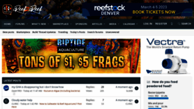 What Reef2reef.com website looked like in 2023 (1 year ago)