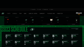 What Riderville.com website looked like in 2023 (1 year ago)