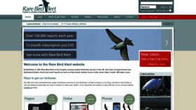 What Rarebirdalert.co.uk website looked like in 2023 (1 year ago)