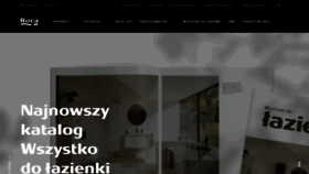 What Roca.pl website looked like in 2023 (1 year ago)