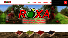 What Roxa.pl website looked like in 2023 (This year)
