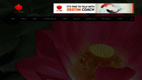 What Redlotus.org website looked like in 2023 (This year)