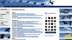 What Rbcu.ru website looked like in 2023 (This year)