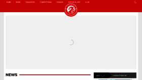 What Rousingthekop.com website looked like in 2023 (This year)