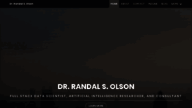 What Randalolson.com website looked like in 2023 (This year)