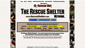 What Rescueshelter.com website looked like in 2023 (This year)