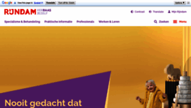 What Rijndam.nl website looked like in 2023 (This year)
