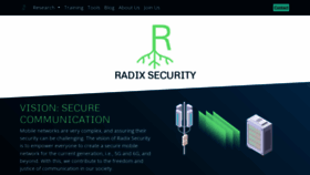 What Radix-security.com website looked like in 2023 (This year)