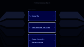 What Robloxexploits.nl website looked like in 2023 (This year)