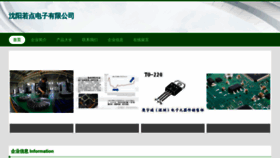 What Ruodian024.com website looked like in 2023 (This year)
