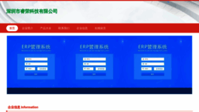 What Rrjiankang.com website looked like in 2023 (This year)