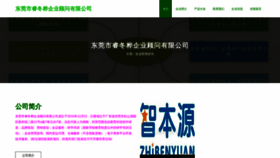 What Ruidonghua.com website looked like in 2023 (This year)