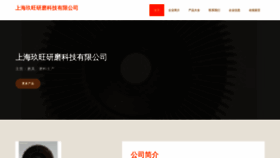 What Rs295.cn website looked like in 2023 (This year)