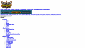 What Rcpegasus.com website looked like in 2023 (This year)