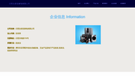 What Rznyqxa.cn website looked like in 2023 (This year)