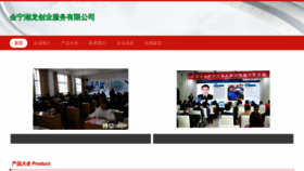 What Reizgy.cn website looked like in 2023 (This year)