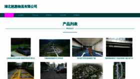 What Rjssjw.cn website looked like in 2023 (This year)