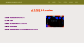 What Rjhvlpn.cn website looked like in 2023 (This year)